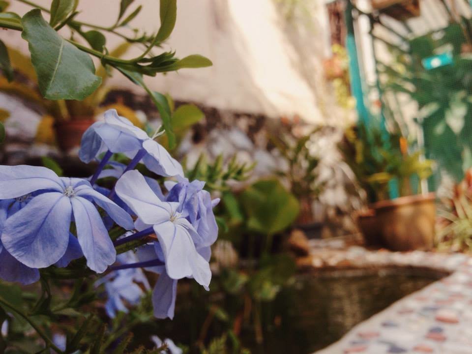 فيزيو بلس - Physio Plus